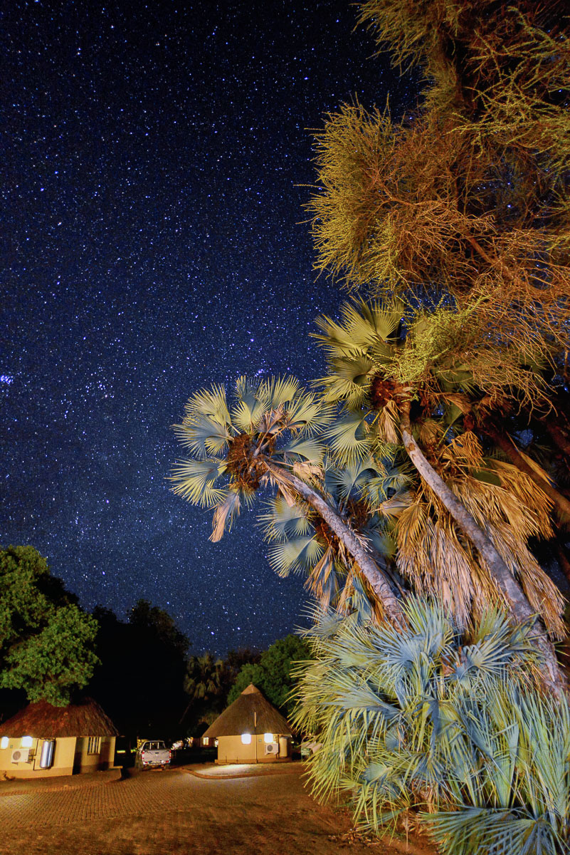 Palms with the Stars and bungalows at Letaba