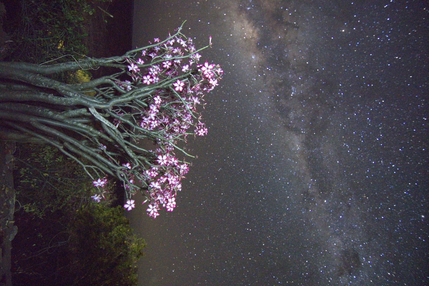Stars over Olifant river in the Kruger