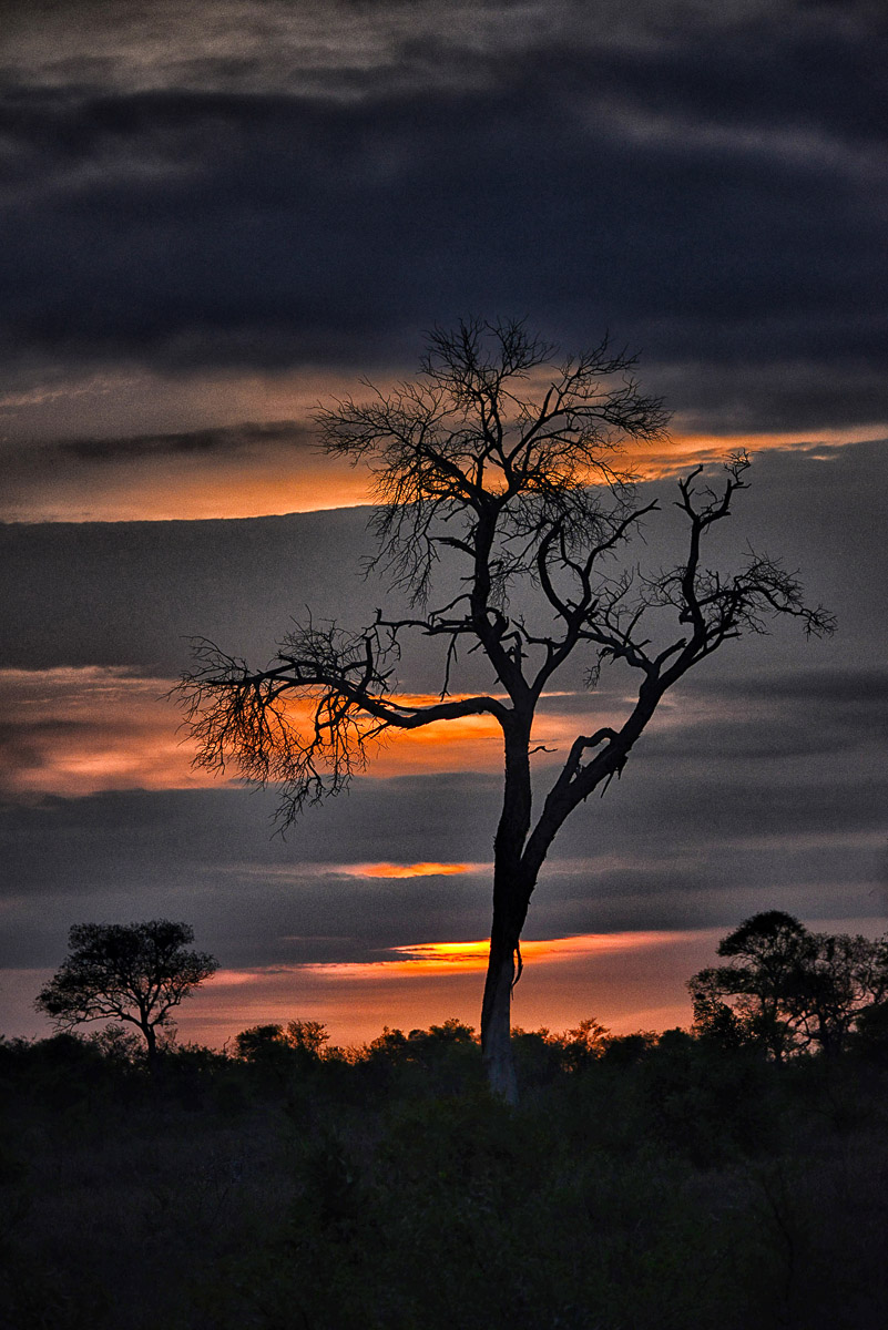 Sunrise on the H7 near Orpen in the Kruger National Park
