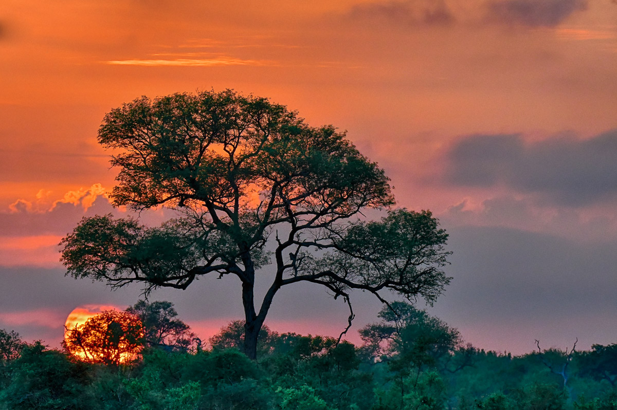 Sunrise on the H7 image taken while staying at Tamboti Tented camp in the Kruger National Park