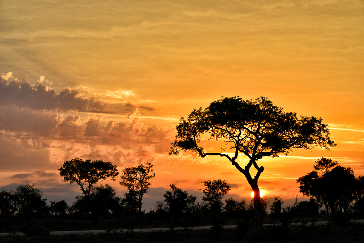 Sunrise on the H7 in the Tamboti area