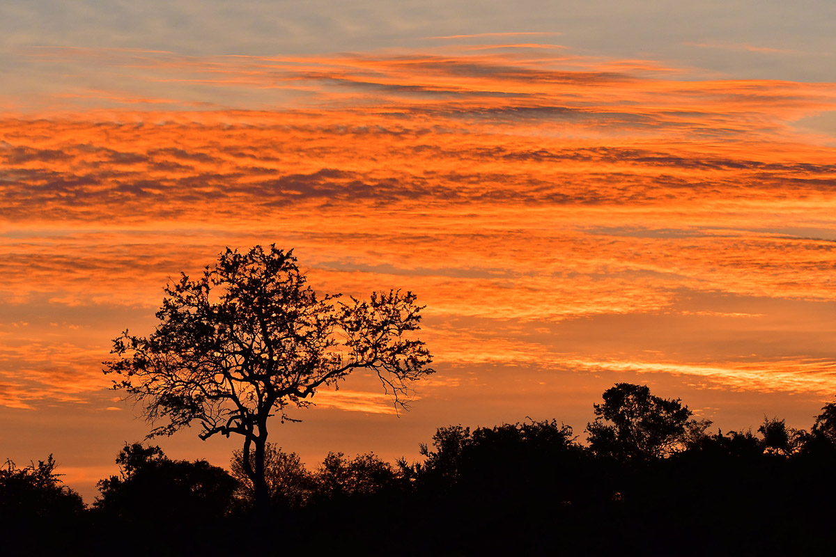 Sunrise near Orpen rest camp in the Kruger National Park