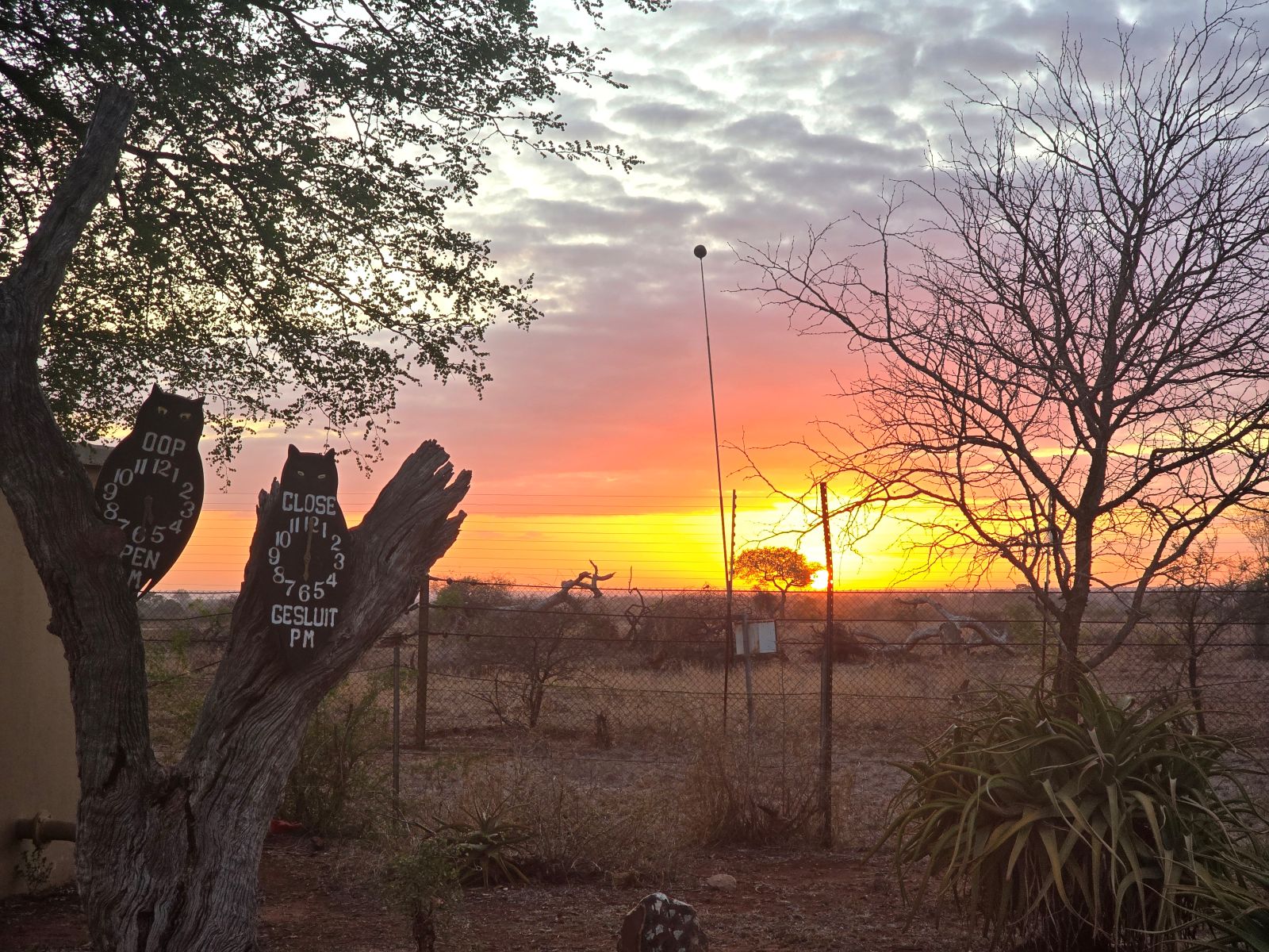 Sunrise in Satara camp in the kruger image taken from gate