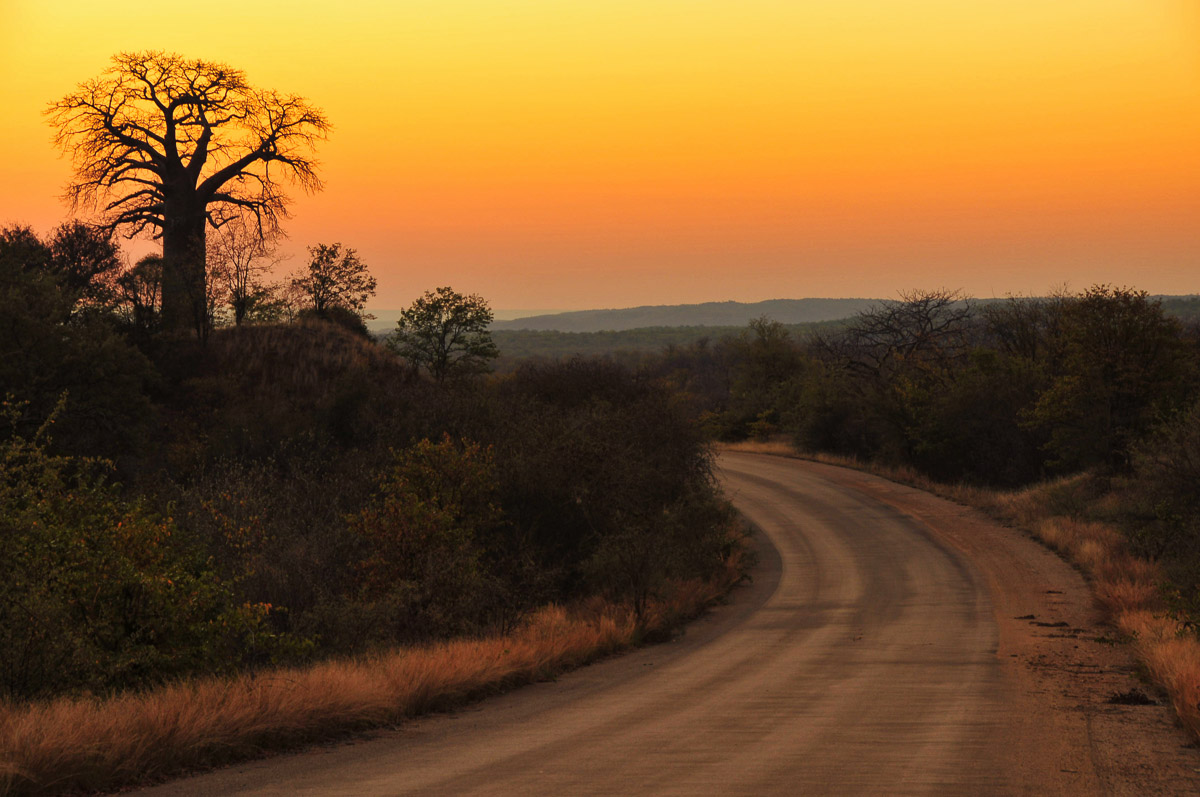 Sunrise on H1-8 Baobab Hill in the Kruger National Park