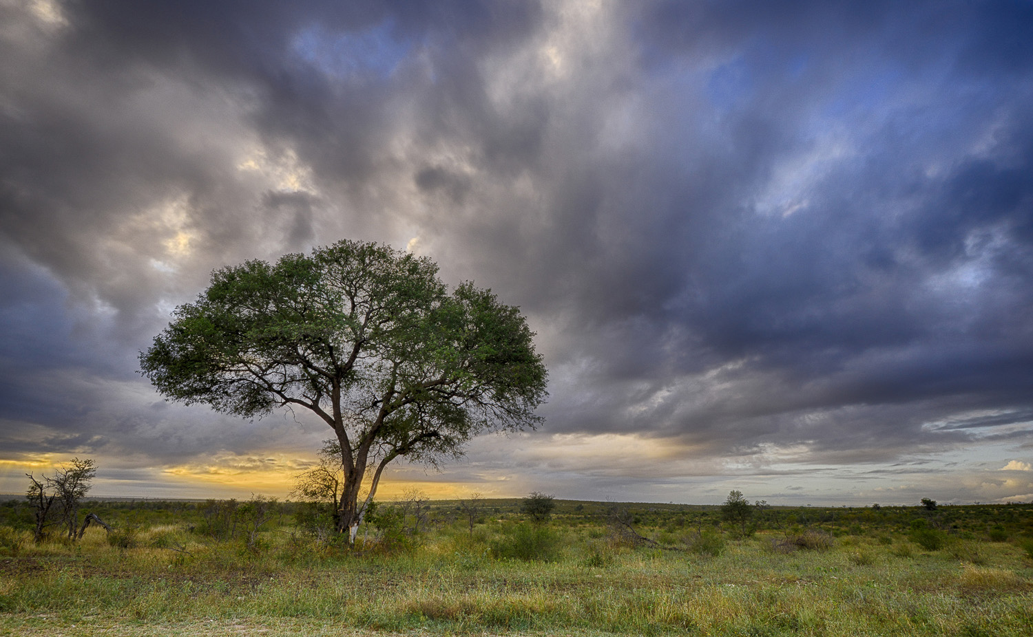 Sunrise on H3 between Malelane and Skukuza in the Kruger National Park