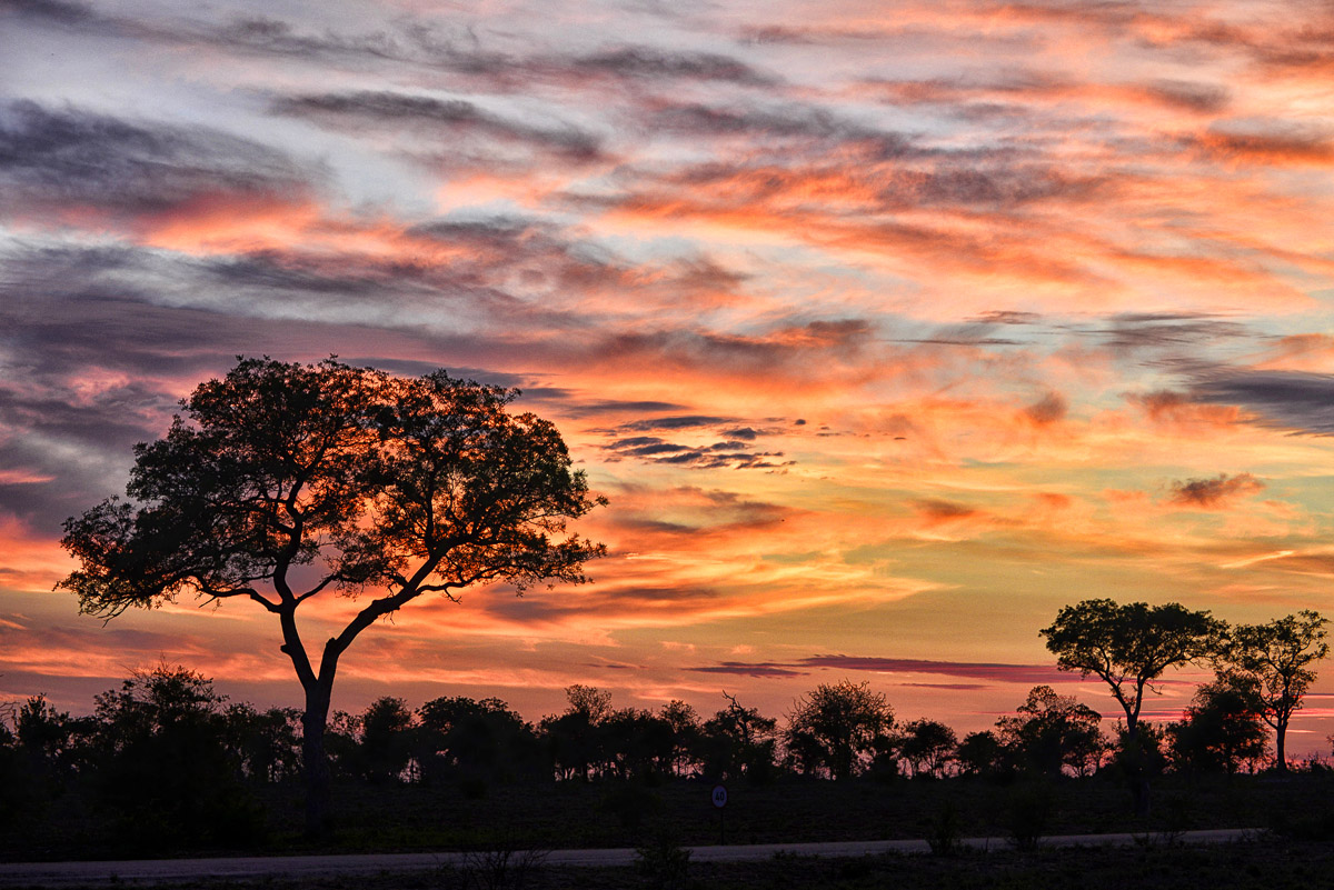 Sunrise image taken on the main road between Orpen and Satara in the Kruger National Park