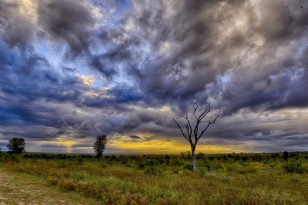 Sunrise on S114 between Malelane and Skukuza in the Kruger National Park