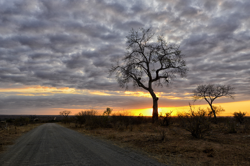 Sunrise on S114 in the Kruger National Park