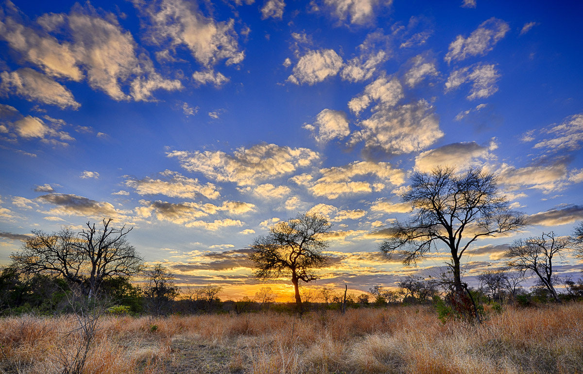 Sunrise on S3 near Phabeni Gate in the Kruger National Park
