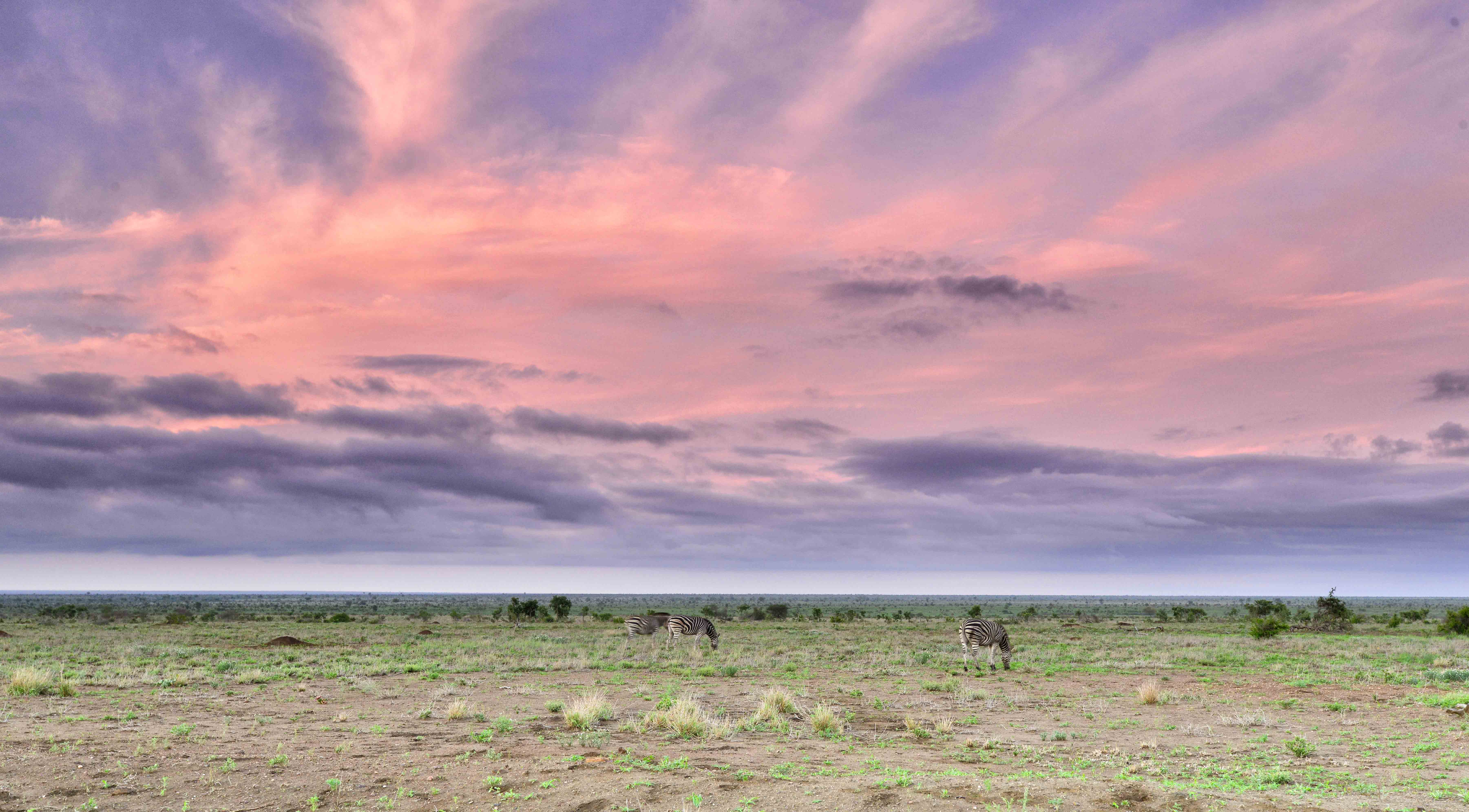Sunrise on the S90 near Balule in the Kruger National Park