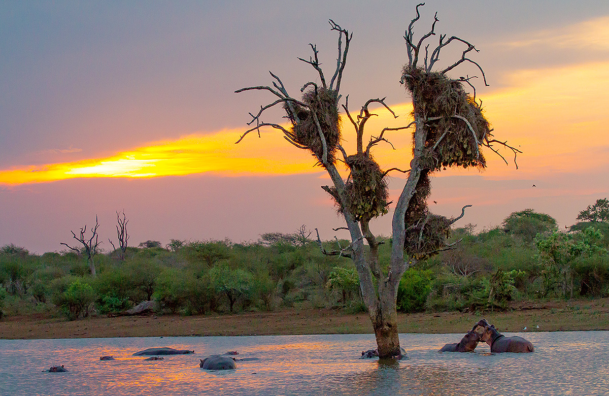 Sunset Dam near Lower Sabie camp