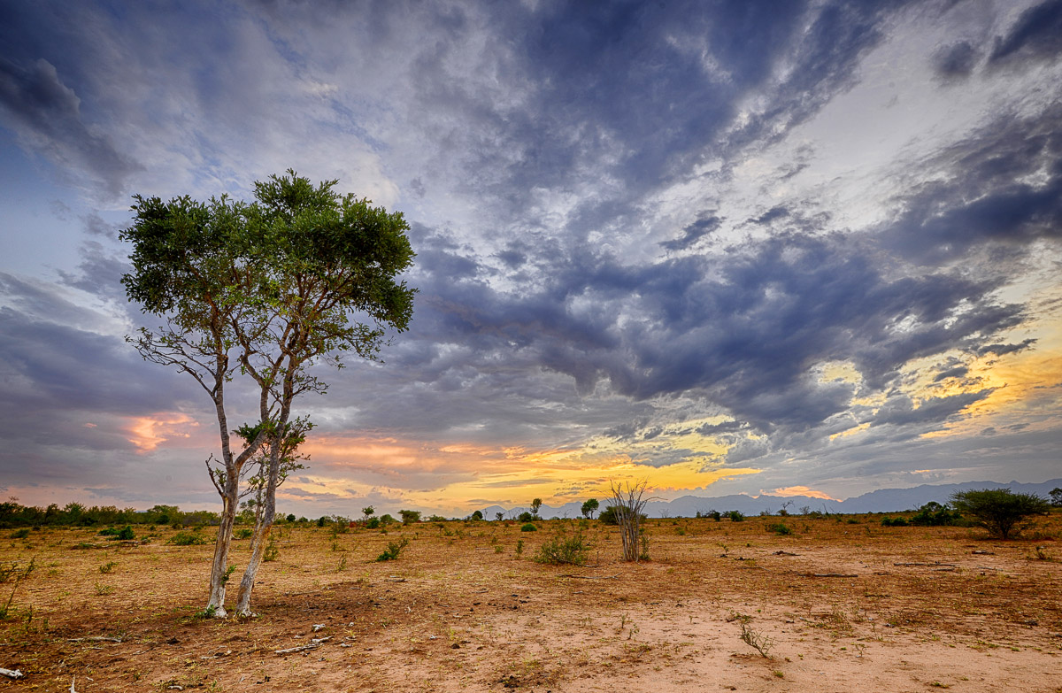Sunset at Makalali image taken on a guided game drive in the Greater Kruger National Park