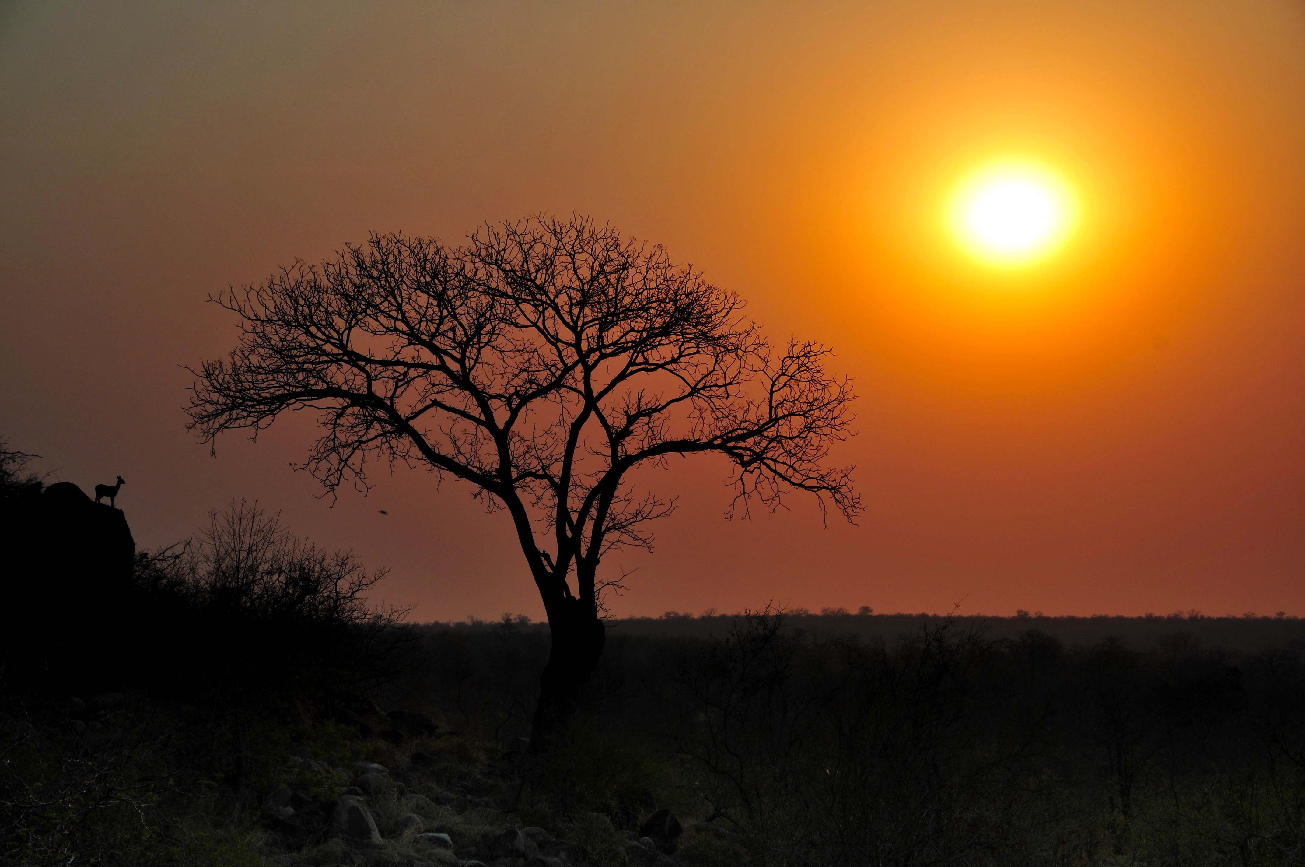 Sunset at Boulders Bush Lodge near Mopani in the Kruger National Park