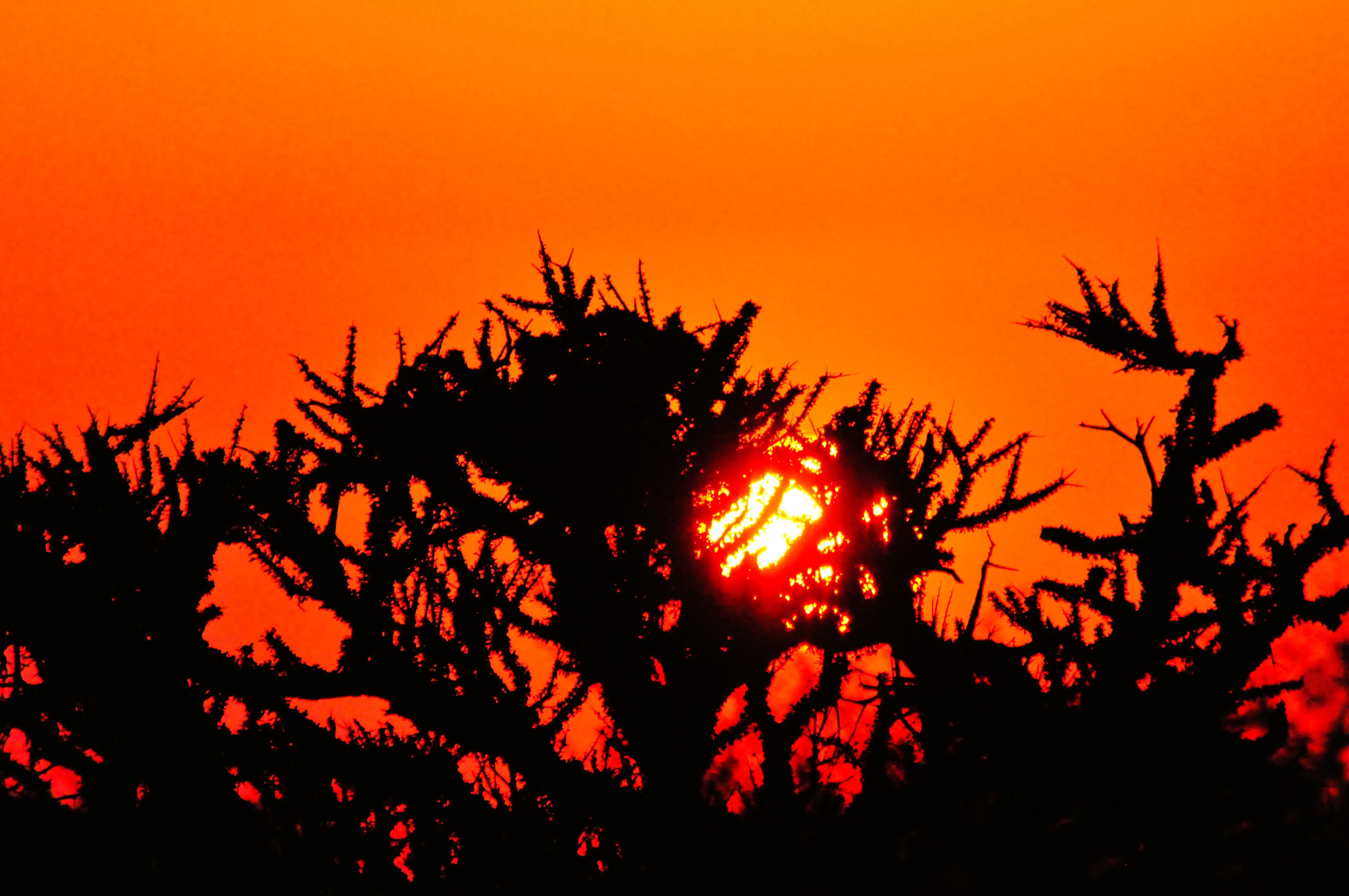Sunset in Black Rhino game reserve