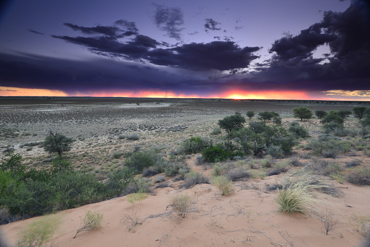 Polentswa Tented Camp has fantastic views over the huge Polentswa pan