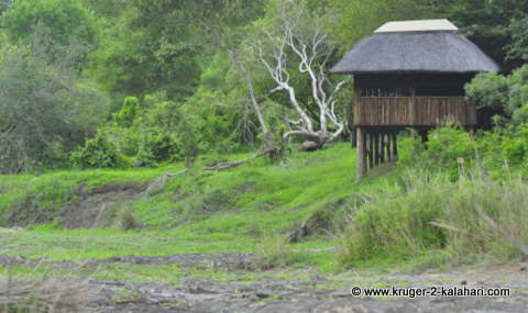 Sweni Hide Kruger Park Sweni Hide Kruger Park