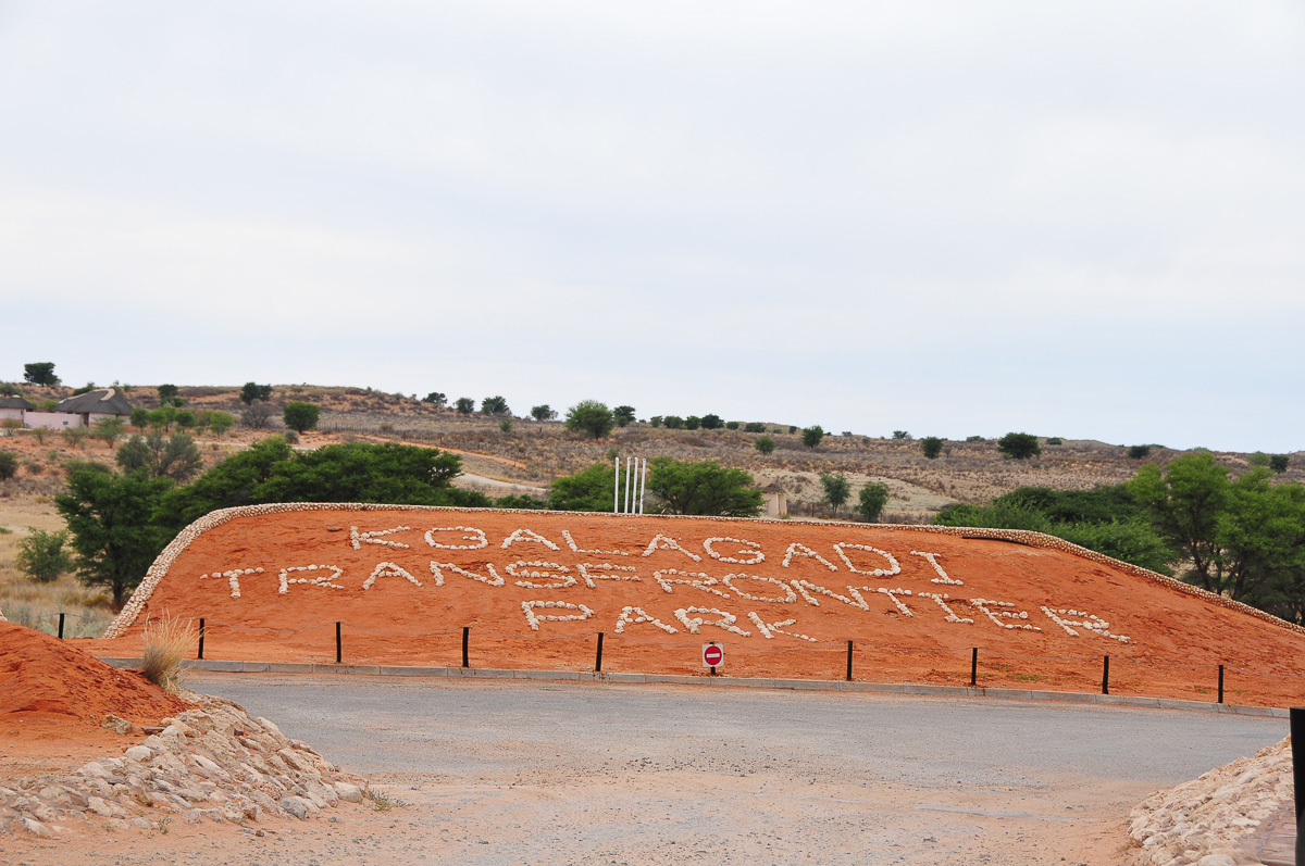Twee Rivieren camp in the Kgalagadi