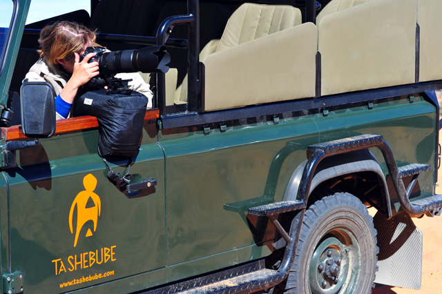 Photographing from the game drive vehicle