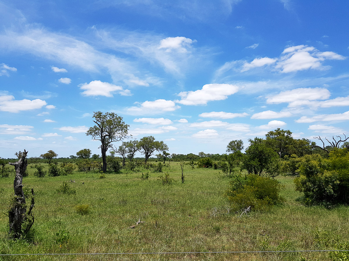 Veld view form 2nd hide