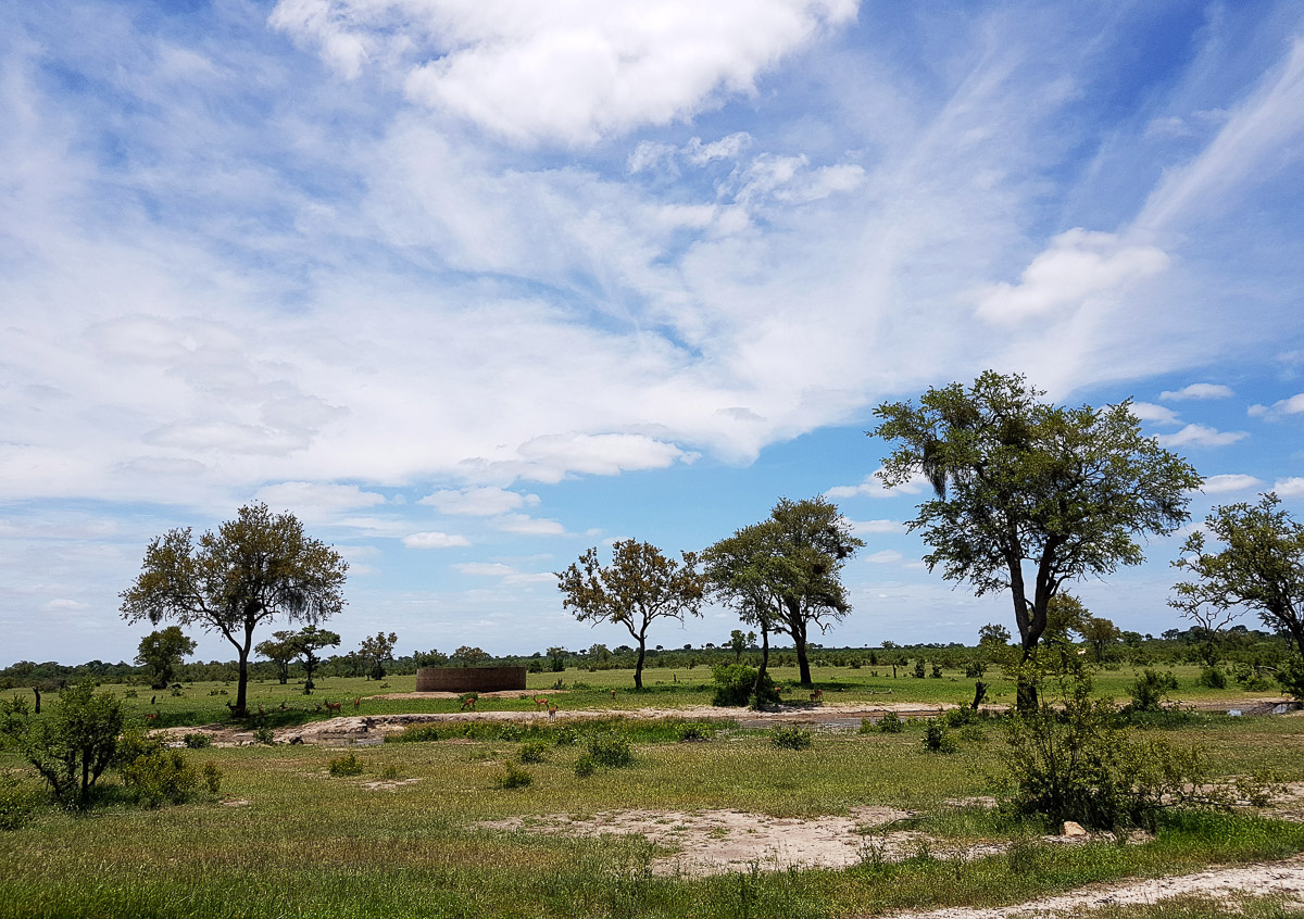 Talamati view from hide over waterhole