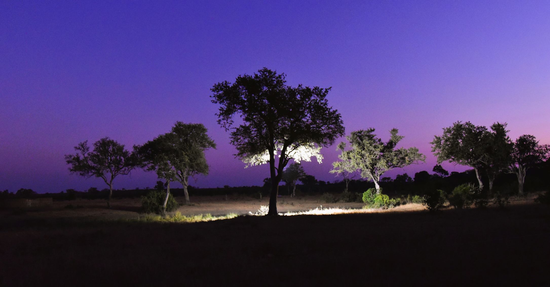The Talamati floodlit waterhole at night The Talamati floodlit waterhole at night