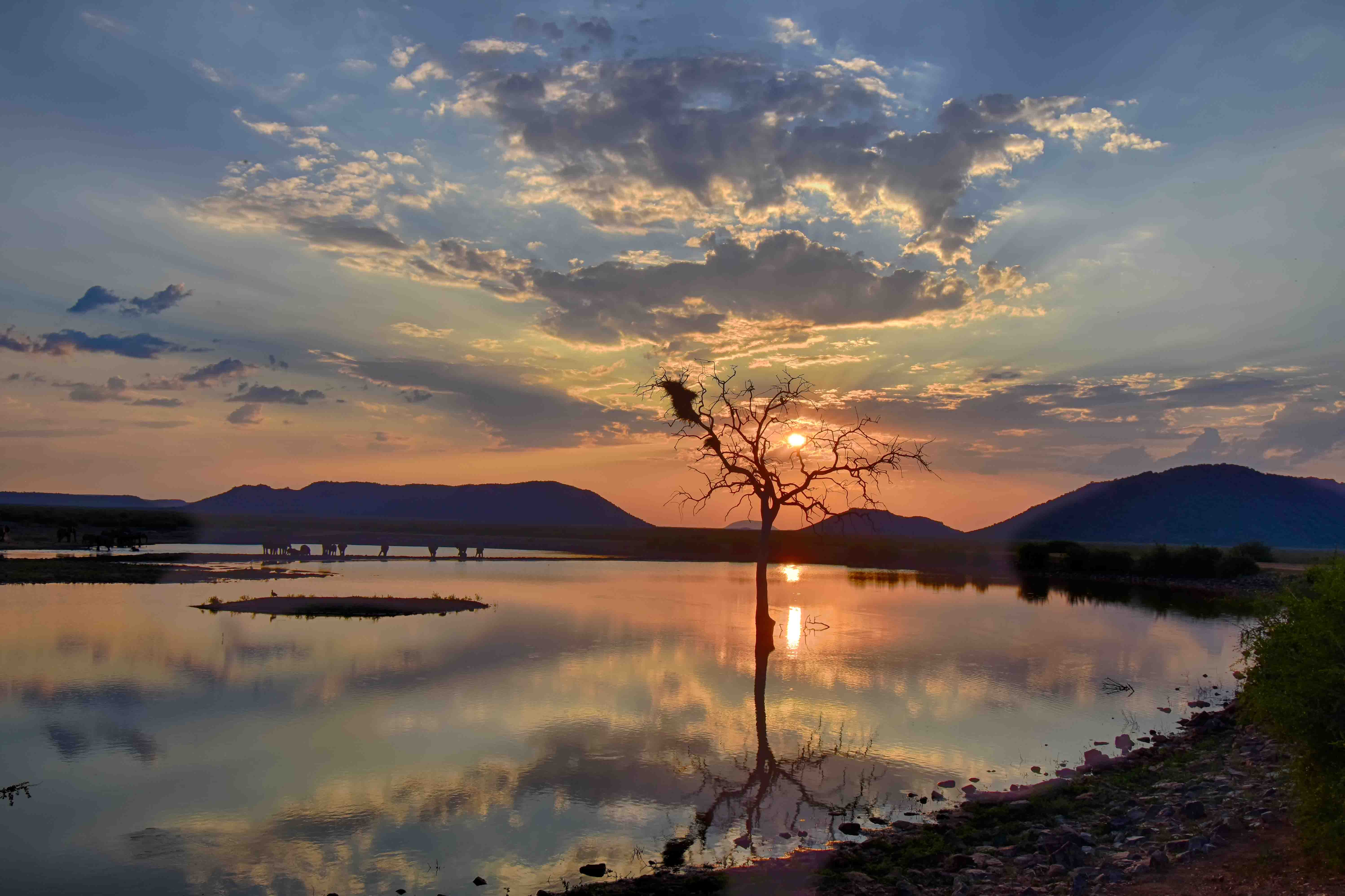 Tlou dam sunset with elephants