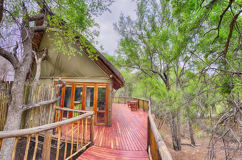 jaci's safari and tree lodge