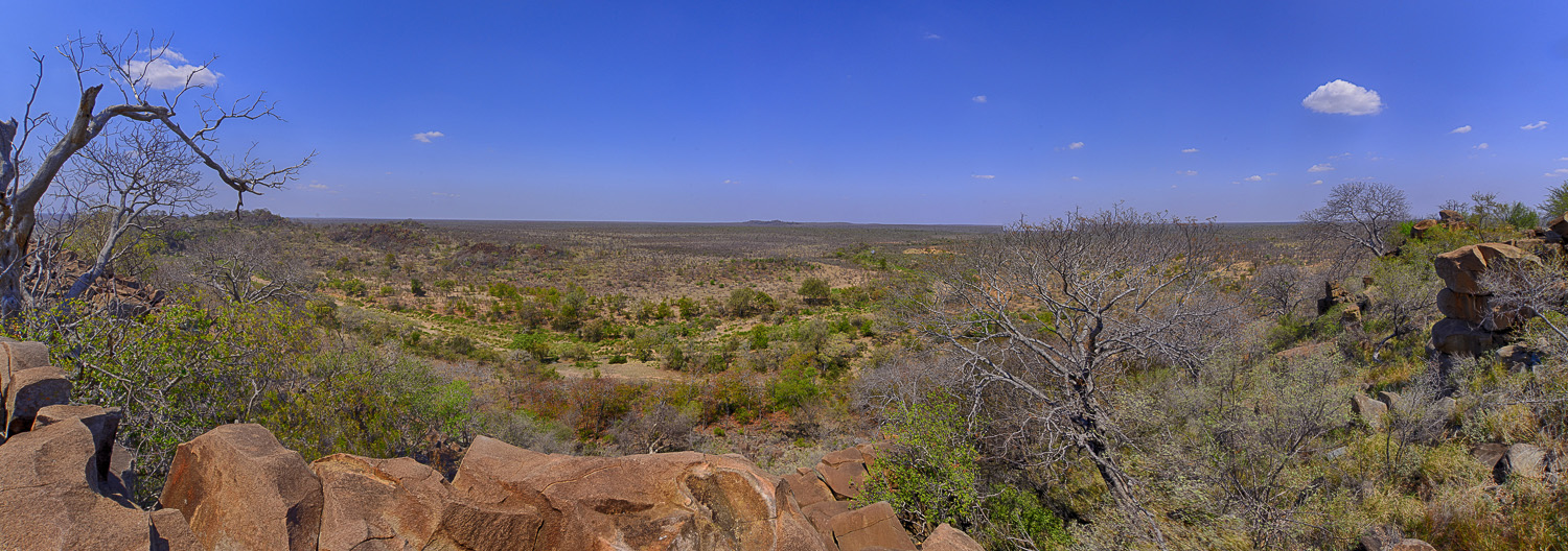 View from Tshanga viewpoint near Bateleur Bush camp