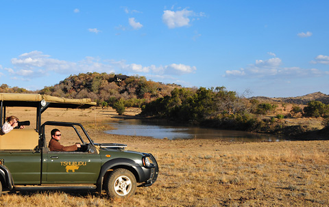 Guided safari in Pilanesberg
