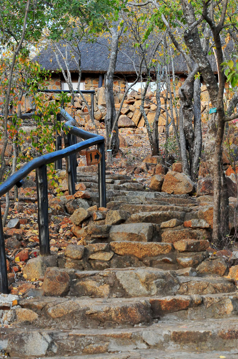132 steps climb from Tshukudu entrance to main reception area
