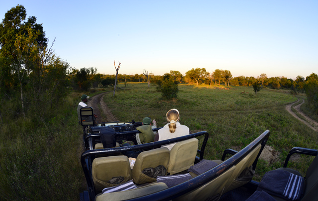 Early morning Safari drive Early morning Safari drive