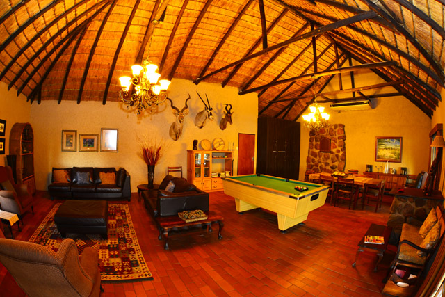 Safari lounge Safari lounge