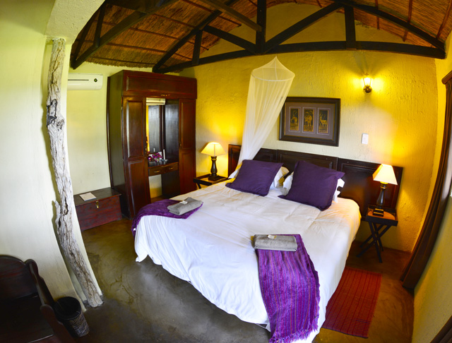 Safari Purple Safari Purple