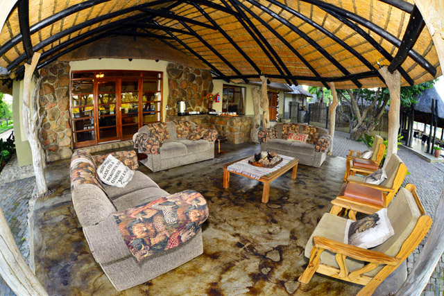 thatch veranda thatch veranda