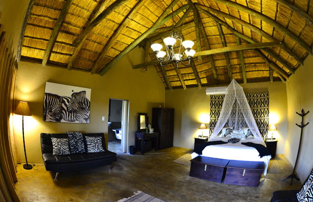 Zebra Room Zebra Room