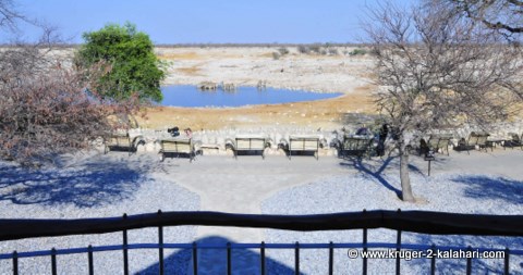 View from bungalow number 34W at Okaukuejo camp View from bungalow number 34W at Okaukuejo camp