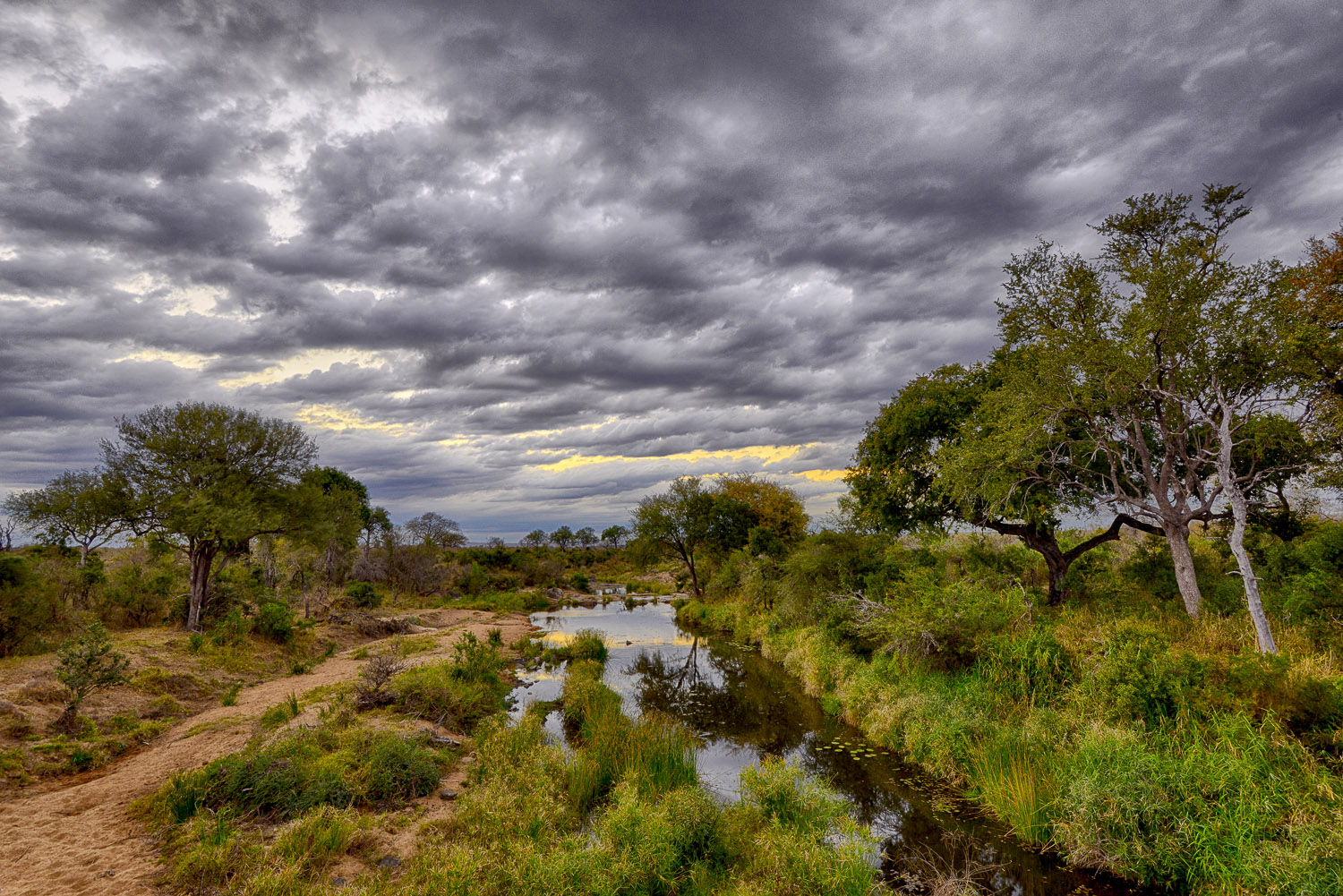 View of Vurhami Creek from bridge on the H4-2 near Crocodile Bridge in the Kruger National Park
