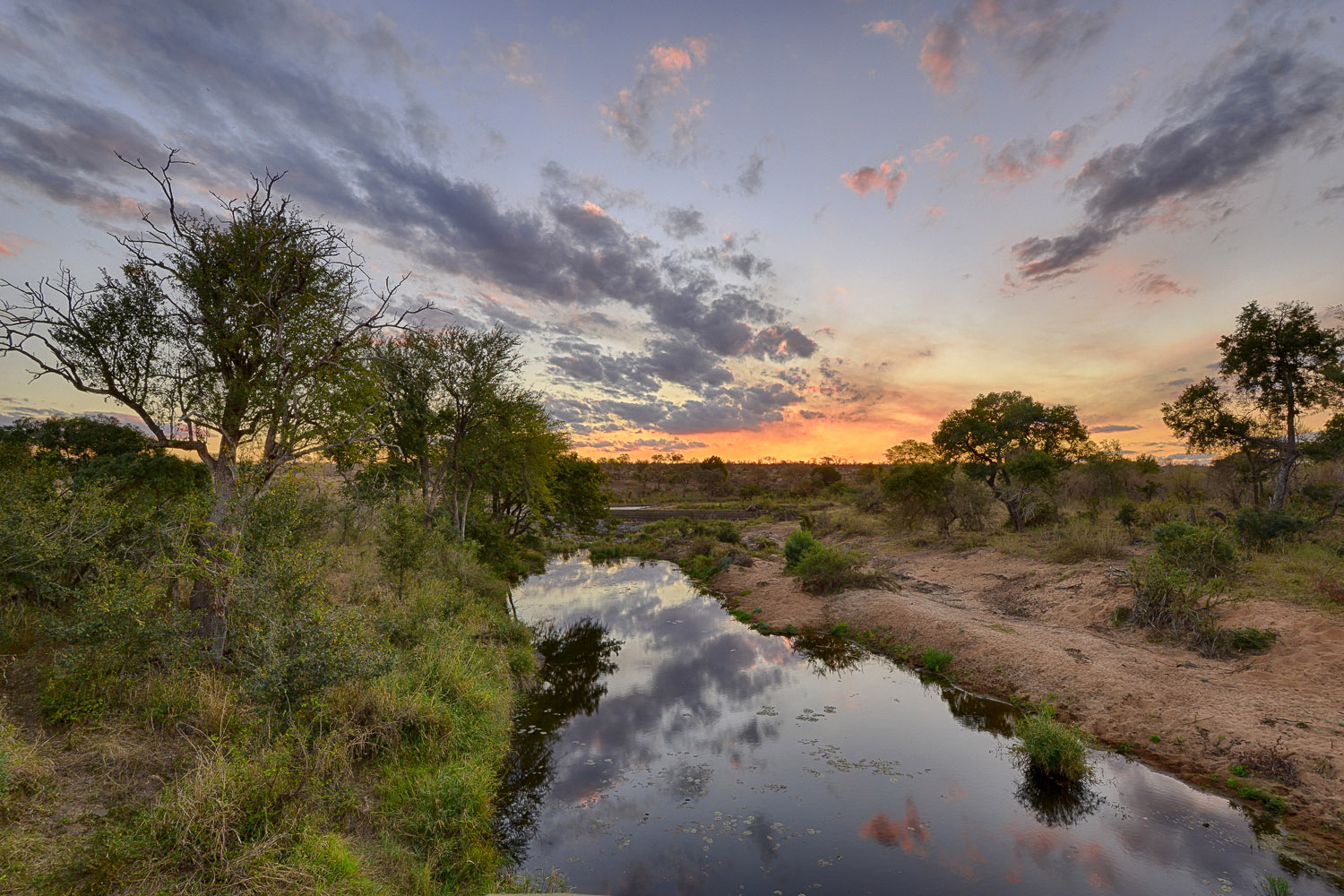 View from Vurhami Bridge on the H4-2 near Crocodile Bridge camp in the Kruger National Park
