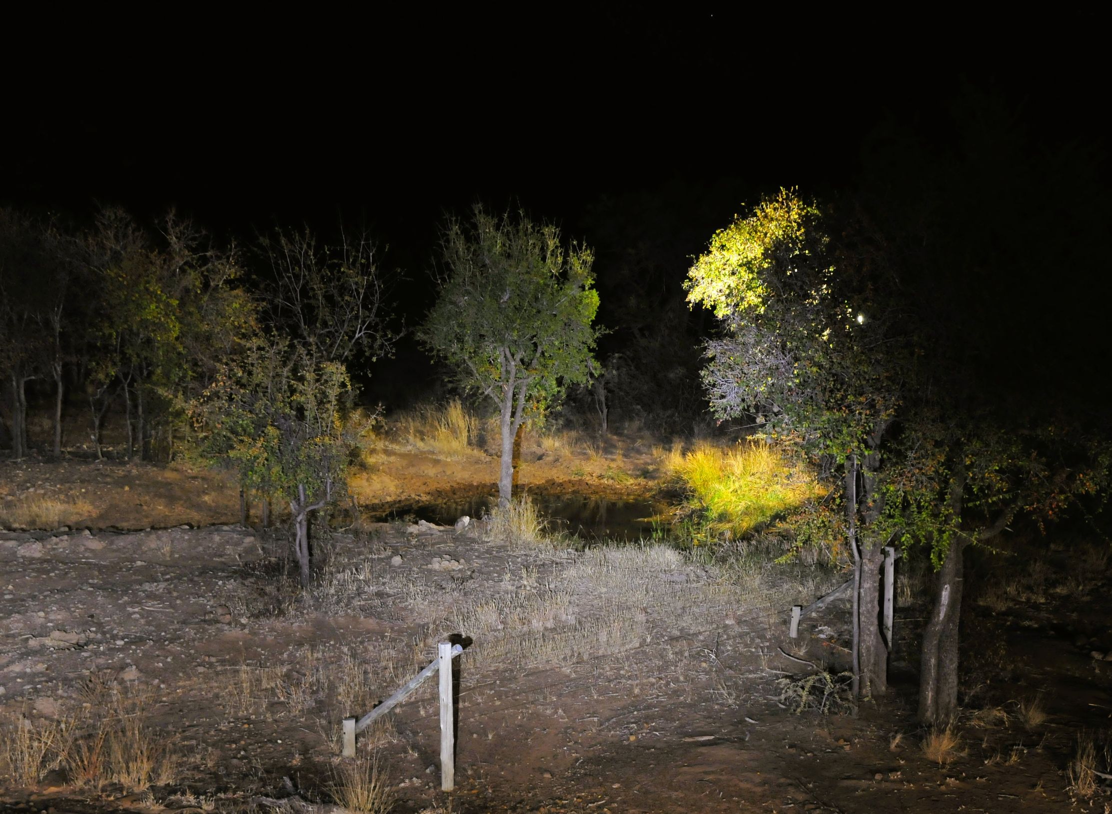 The Waterhole at night at Pilanesberg Private Lodge