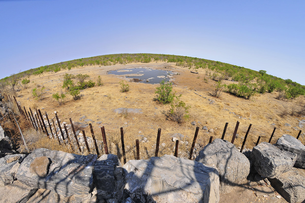 Wide view of Halali camps waterhole