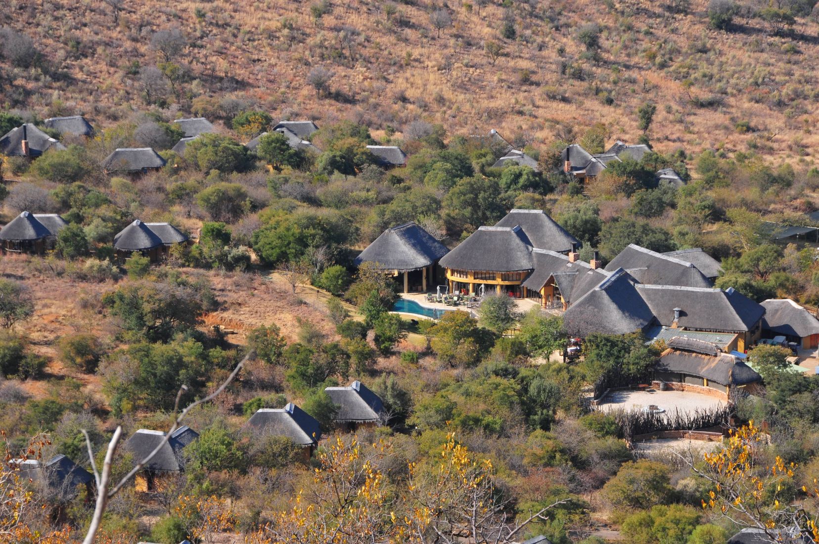 Wide view of Ivory Tree Lodge