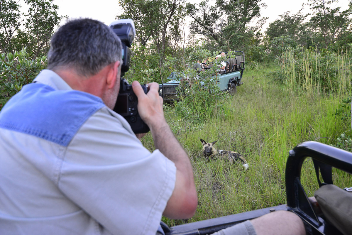 Mario photographing Wild Dog on a guided Safari at Idube Lodge in the Sabi Sands Game Reserve in the Greater Kruger National Park