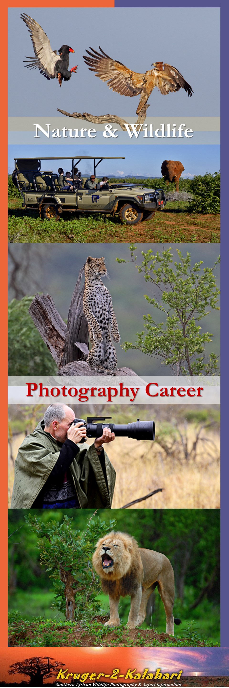 Wildlife Photographer: Career Profile & Salary