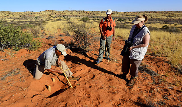 !Xaus walking safari !Xaus walking safari