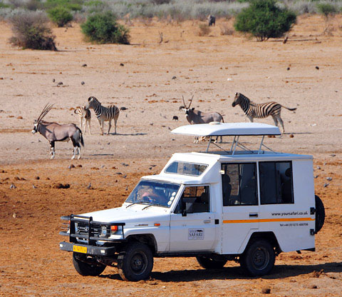 your safari photographing animals in etosha your safari photographing animals in etosha