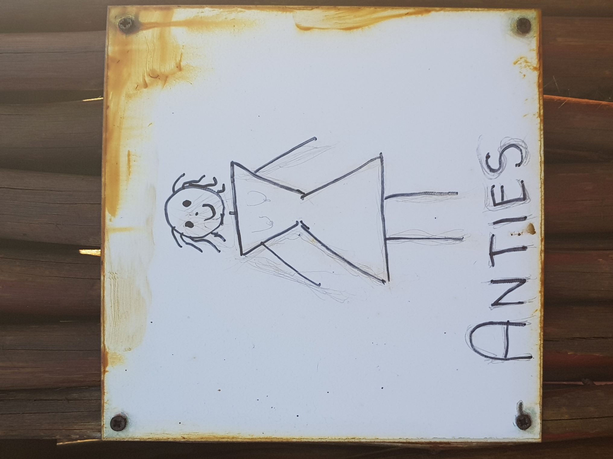 Anties Anties