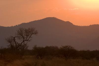 Sunset in the Pilanesberg