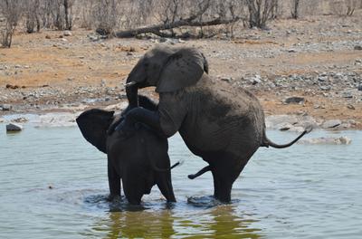 Stand still, i just want to show you. NO THANK-YOU