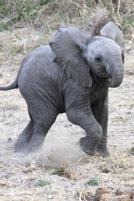 Thinking about charging