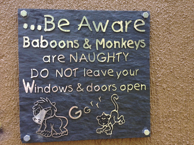 look out for the baboons and monkeys look out for the baboons and monkeys
